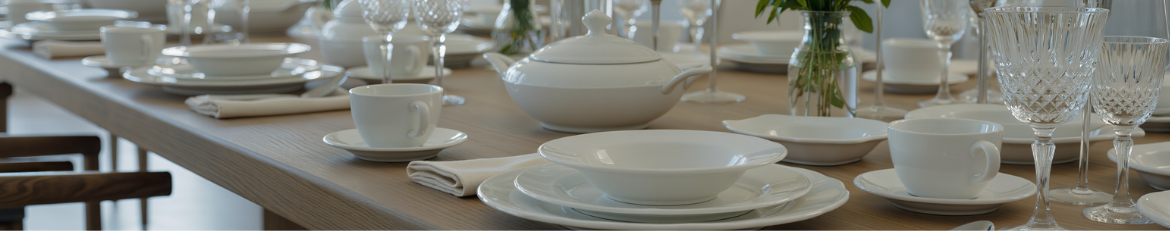 Dinnerware Dinnerware