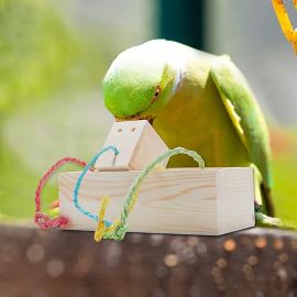 NeoStyle Bird Foraging Box Toy,Wooden Training Parrot Feeder Toys,Cockatiel Toys,Intelligence Toys for Medium and Large Birds,Parrots Sun Conures, Caique, Cockatoo, African Grey, Macaws
