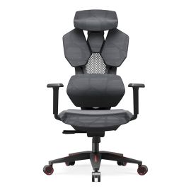 Astron Ergonomic Gaming Chair