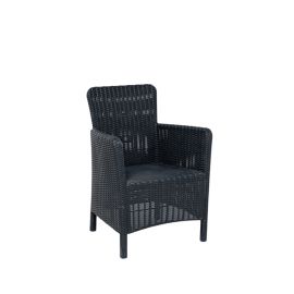 Ambar Plalima Black Armchair
