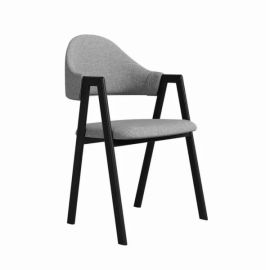 Neom Dining Chair, Leisure Chair with Armrest,  Side Chair Armchair for Kitchen Dining Living Room