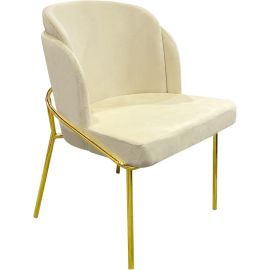 MAPLE HOME DECORATION Maple Home Dining Chairs Velvet Cushion Seat Chair, Stainless Steel Golden Legs Dining Room Chair