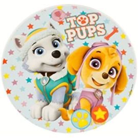 Nickelodeon 3Pcs Dinner Set Paw Patrol Girl Stars