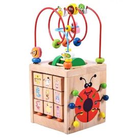 Activity Cube Lady Bug