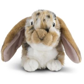 LIVING NATURE Dutch Lop Eared Rabbit Brown