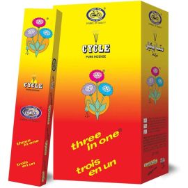 CYCLE INCENT STICK 6 PCS-AGARPATHY