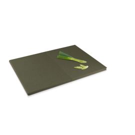 DOUBLEUP CUTTING BOARD - GREEN TOOL