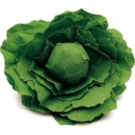 Lettuce