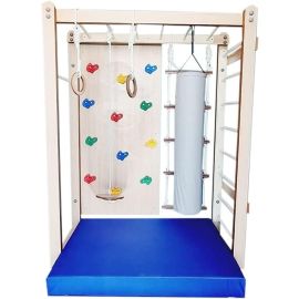 Moon Kids Monkey Bar with Accessories Set Type-5-1 - Climbing wall panel with hand grips, Safety mat, Gym Rings, Round Disk Swing, Punch Bag And Rope Ladder For Kids 4.5+ Years