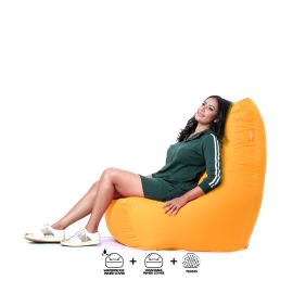 Bean Bag with back support