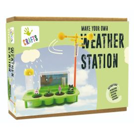 Make Your Own Weather Station