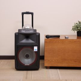 Olsenmark Rechargeable Speaker -12 Inch with USB, SD Card, FM, Mic, Bluetooth & Remote | Ideal for Home Office Parties Concerts & More