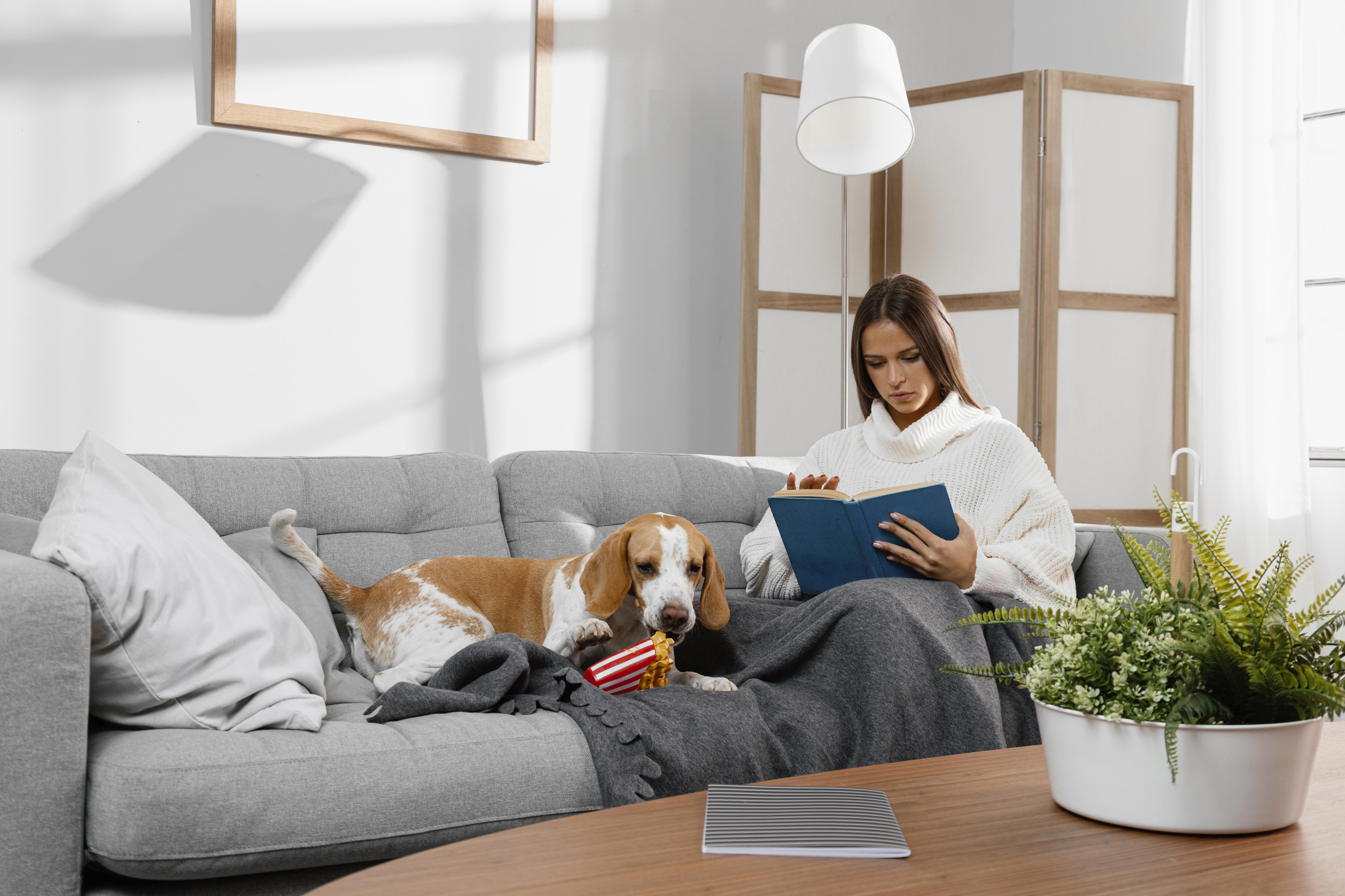 How to Design a Pet-Friendly Living Room in Dubai